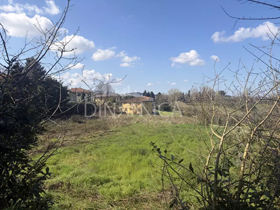 Immagine 2 di Terreno in vendita  a Fauglia