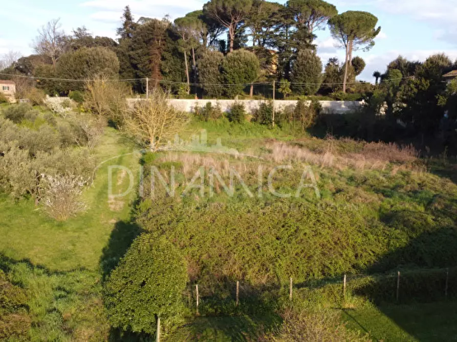 Immagine 3 di Terreno in vendita  a Fauglia