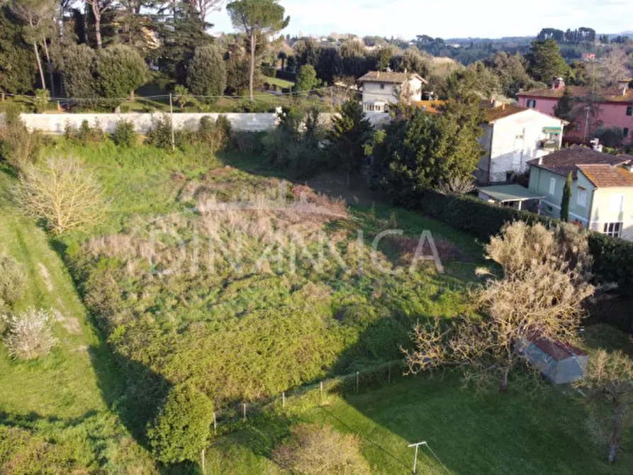 Immagine 4 di Terreno in vendita  a Fauglia