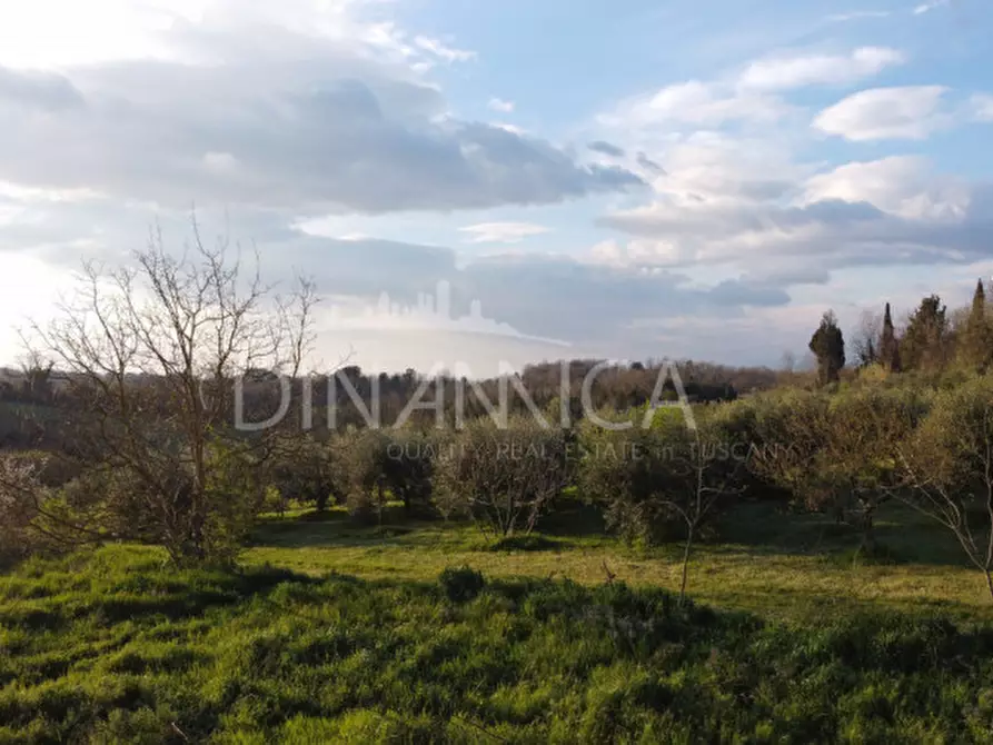 Immagine 5 di Terreno in vendita  a Fauglia