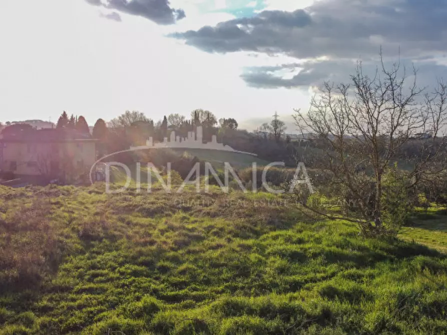Immagine 6 di Terreno in vendita  a Fauglia