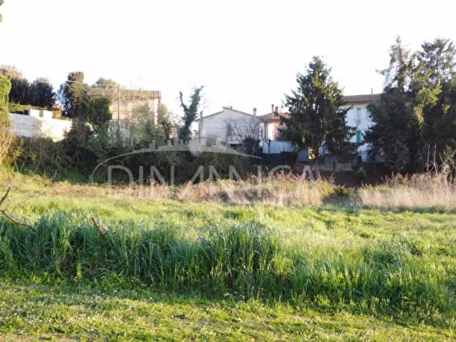 Immagine 7 di Terreno in vendita  a Fauglia