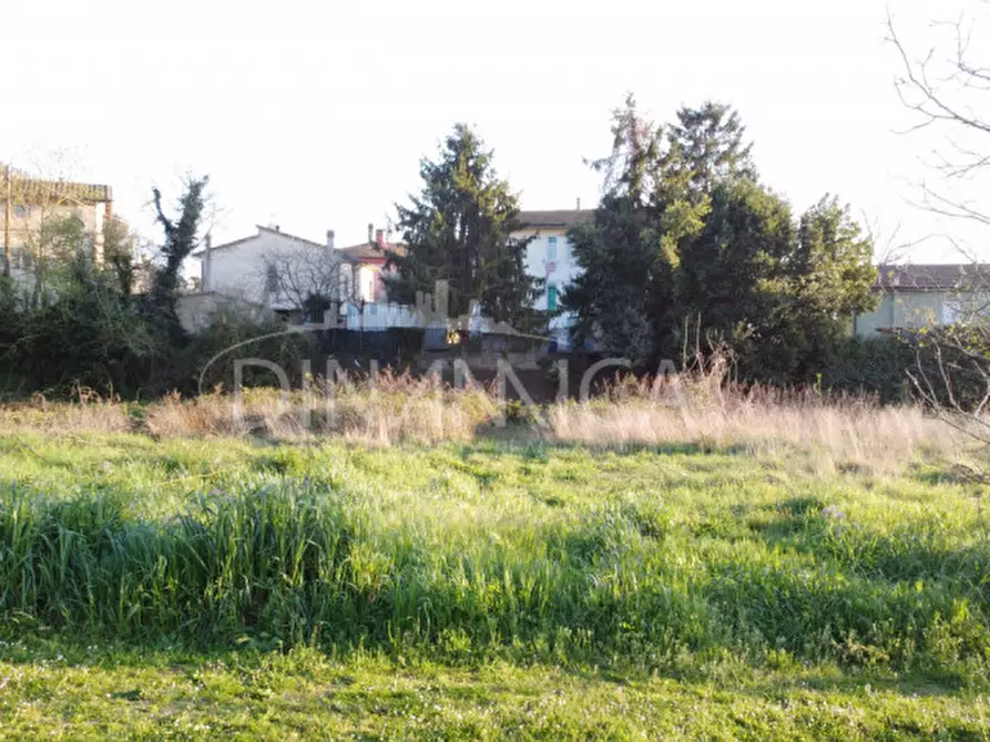 Immagine 8 di Terreno in vendita  a Fauglia