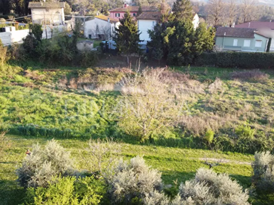 Immagine 9 di Terreno in vendita  a Fauglia