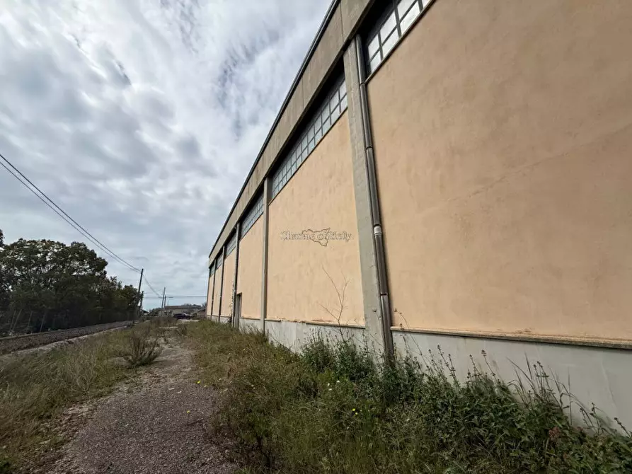 Immagine 9 di Capannone industriale in affitto  a Modica