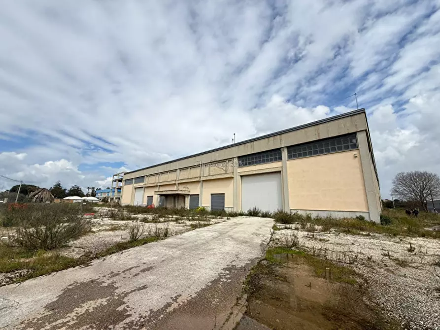 Immagine 18 di Capannone industriale in affitto  a Modica