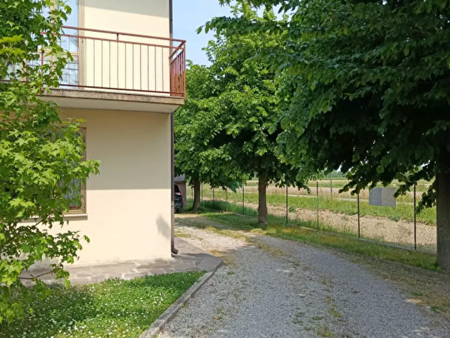 Immagine 3 di Casa bifamiliare in vendita  in Via Andrea Brustolon a Vigonza