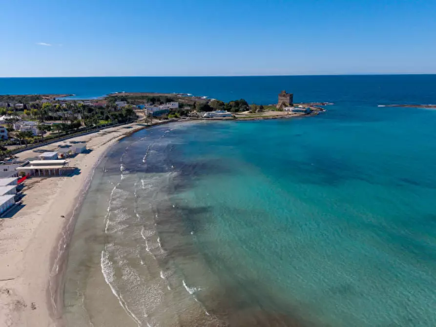 Immagine 19 di Villa in vendita  in Via Belgrado a Porto Cesareo