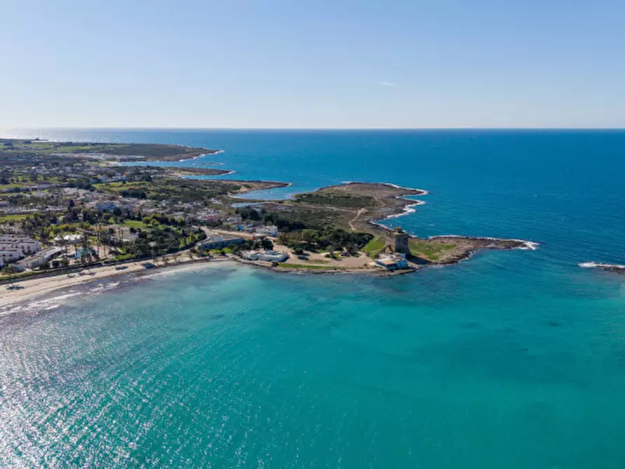 Immagine 20 di Villa in vendita  in Via Belgrado a Porto Cesareo