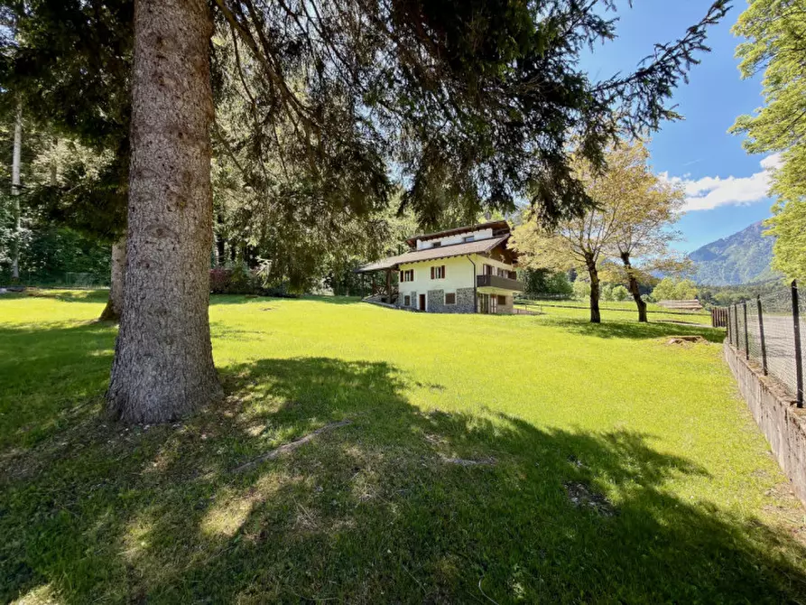 Immagine 4 di Villa in vendita  in Località Torbiera a Fiave'