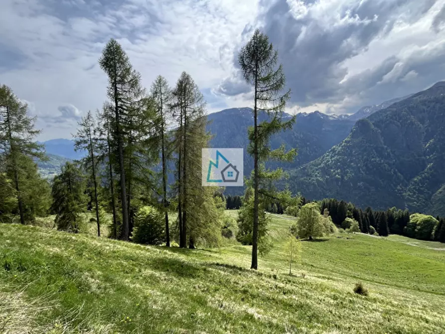 Immagine 11 di Rustico / casale in vendita  in Val di Daone, località Varassone a Valdaone