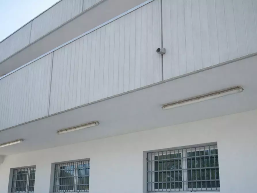 Immagine 4 di Capannone industriale in vendita  in via roma a Campolongo Maggiore