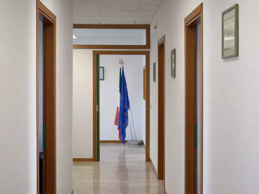 Immagine 9 di Capannone industriale in vendita  in via roma a Campolongo Maggiore