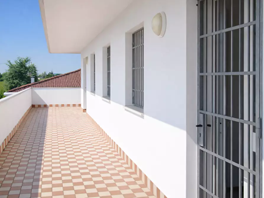 Immagine 10 di Capannone industriale in vendita  in via roma a Campolongo Maggiore