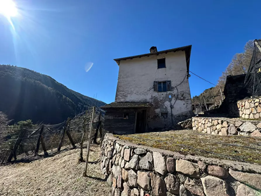 Immagine 1 di Casa indipendente in vendita  in MASO LA RIO a Altavalle