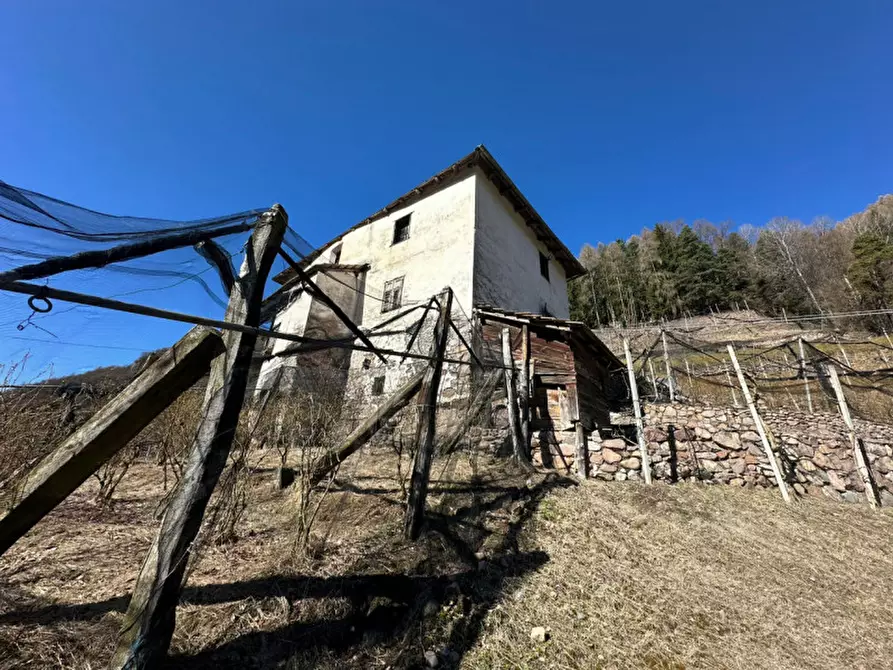 Immagine 2 di Casa indipendente in vendita  in MASO LA RIO a Altavalle