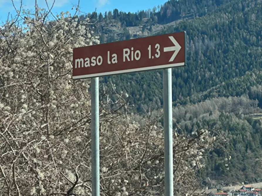 Immagine 5 di Casa indipendente in vendita  in MASO LA RIO a Altavalle
