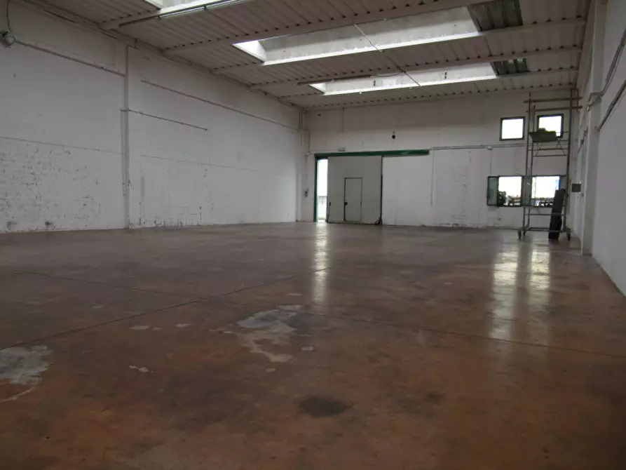 Immagine 11 di Capannone industriale in affitto  in via edison 50 a Villorba