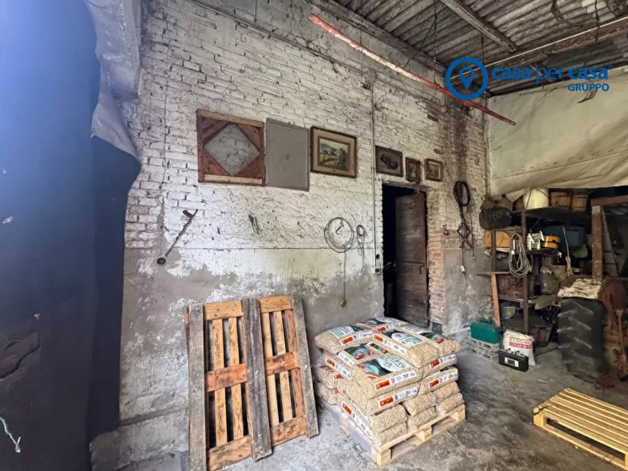 Immagine 4 di Magazzino in vendita  in Via 4 novembre a Solesino