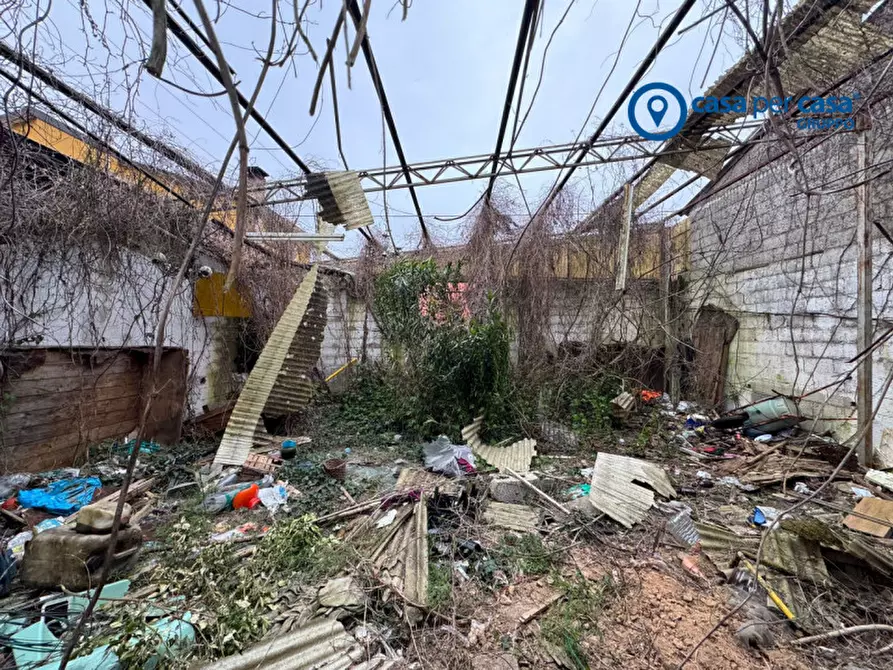 Immagine 7 di Magazzino in vendita  in Via 4 novembre a Solesino