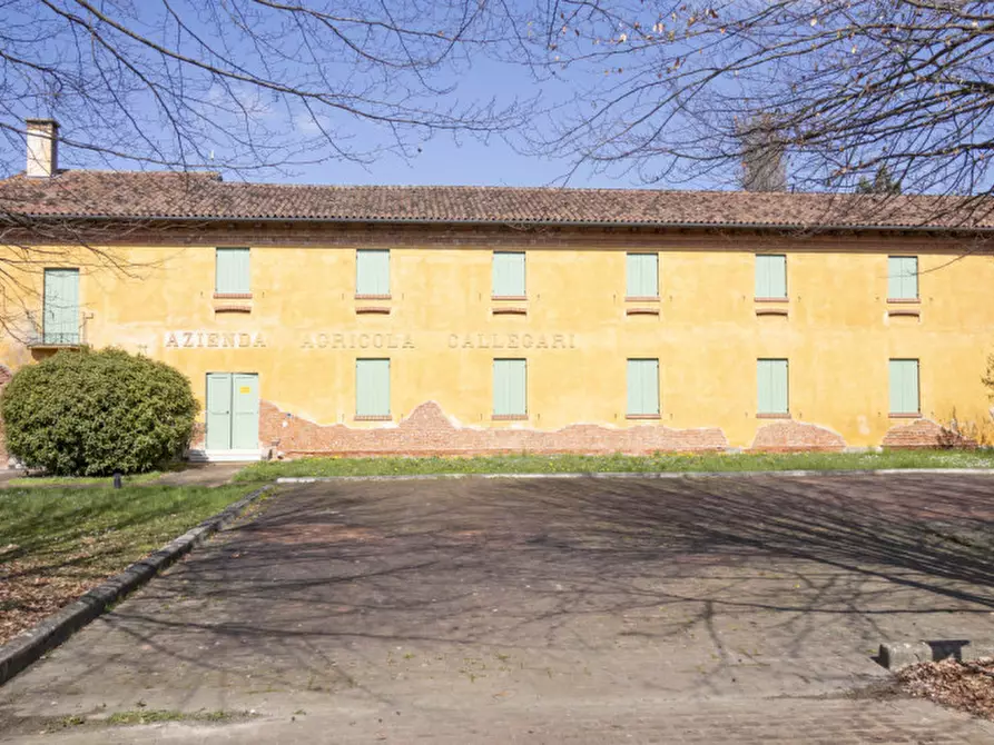 Immagine 1 di Attività commerciale in vendita  in ZERMAN a Mogliano Veneto