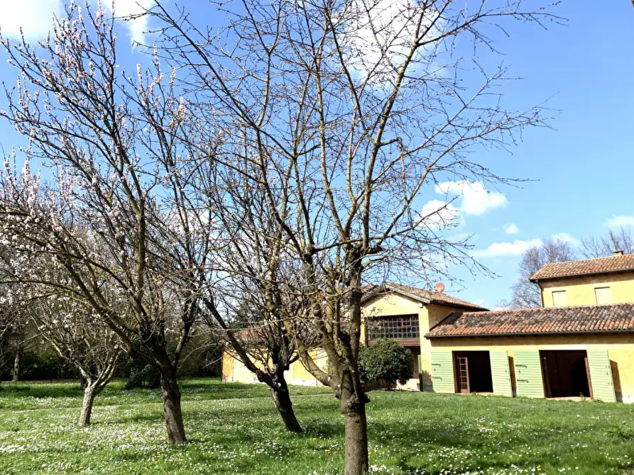 Immagine 57 di Attività commerciale in vendita  in ZERMAN a Mogliano Veneto