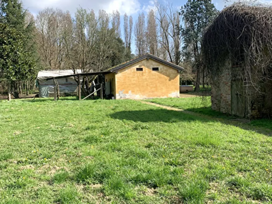 Immagine 94 di Attività commerciale in vendita  in ZERMAN a Mogliano Veneto