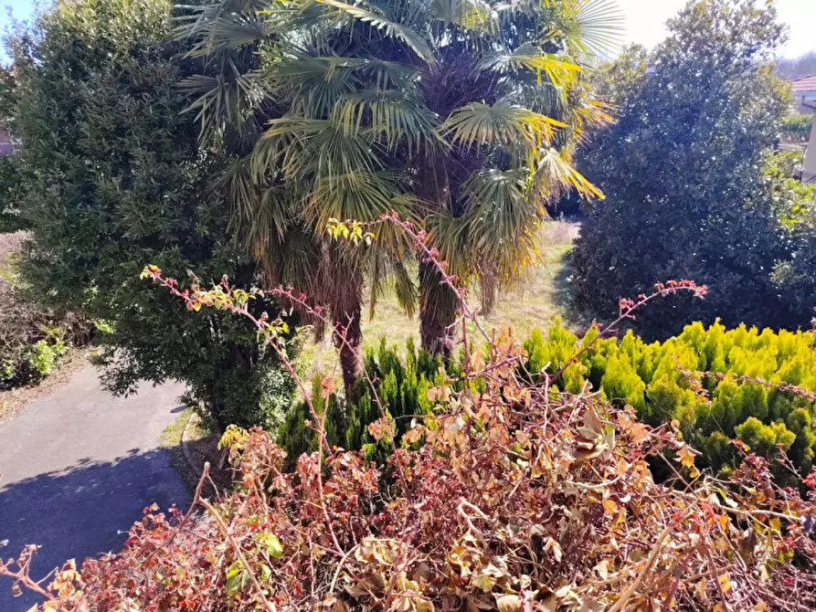 Immagine 23 di Villa in vendita  a Roasio