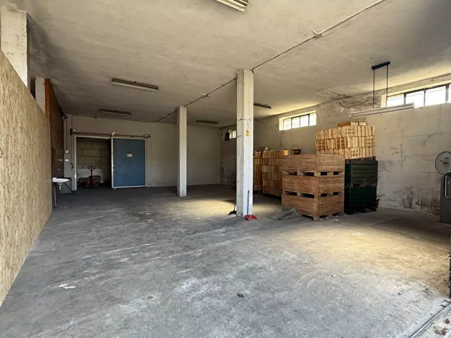 Immagine 3 di Magazzino in affitto  a Tregnago