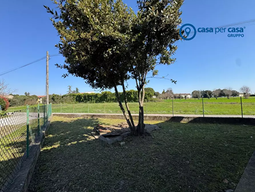 Immagine 3 di Casa indipendente in vendita  in Via Cavallotti a Solesino