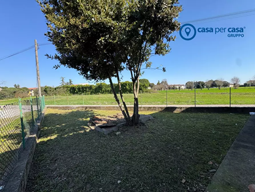 Immagine 20 di Casa indipendente in vendita  in Via Cavallotti a Solesino