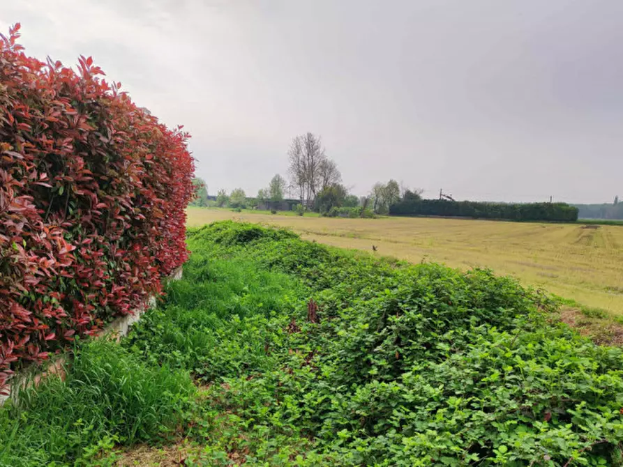 Immagine 2 di Capannone industriale in vendita  in Via Vellezzo Bellini snc - 27010 Vellezzo Bellini (PV) a Vellezzo Bellini