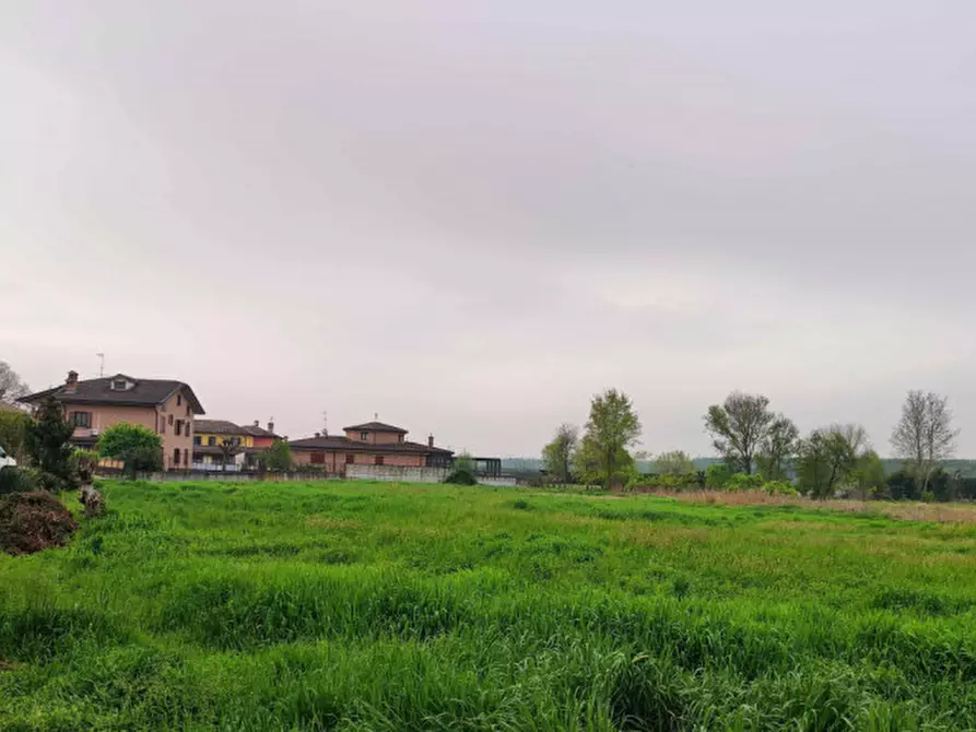 Immagine 3 di Capannone industriale in vendita  in Via Vellezzo Bellini snc - 27010 Vellezzo Bellini (PV) a Vellezzo Bellini