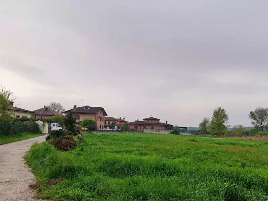 Immagine 4 di Capannone industriale in vendita  in Via Vellezzo Bellini snc - 27010 Vellezzo Bellini (PV) a Vellezzo Bellini