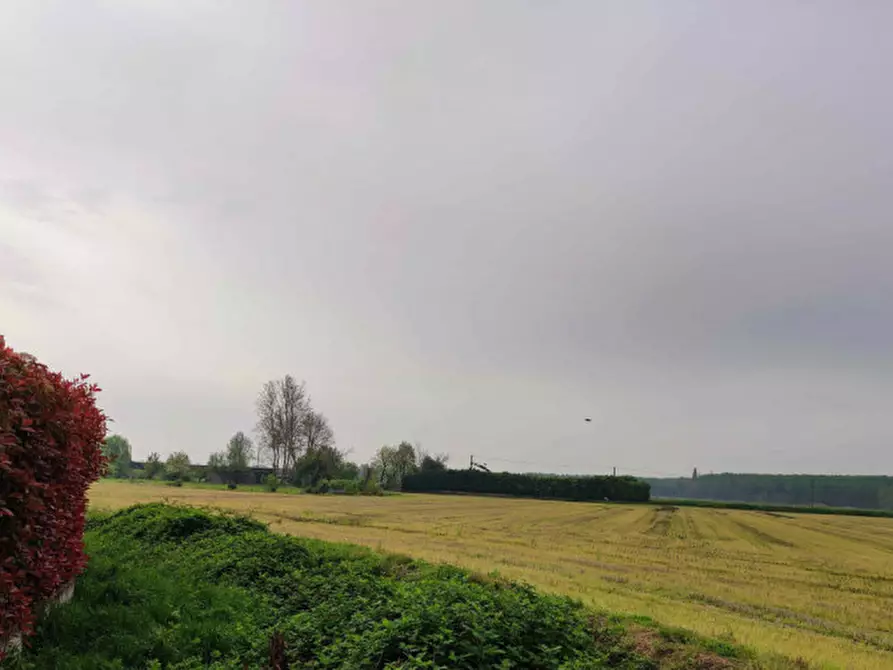 Immagine 5 di Capannone industriale in vendita  in Via Vellezzo Bellini snc - 27010 Vellezzo Bellini (PV) a Vellezzo Bellini