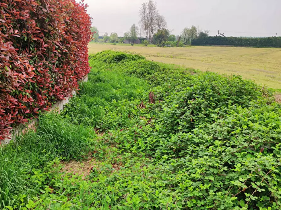 Immagine 7 di Capannone industriale in vendita  in Via Vellezzo Bellini snc - 27010 Vellezzo Bellini (PV) a Vellezzo Bellini