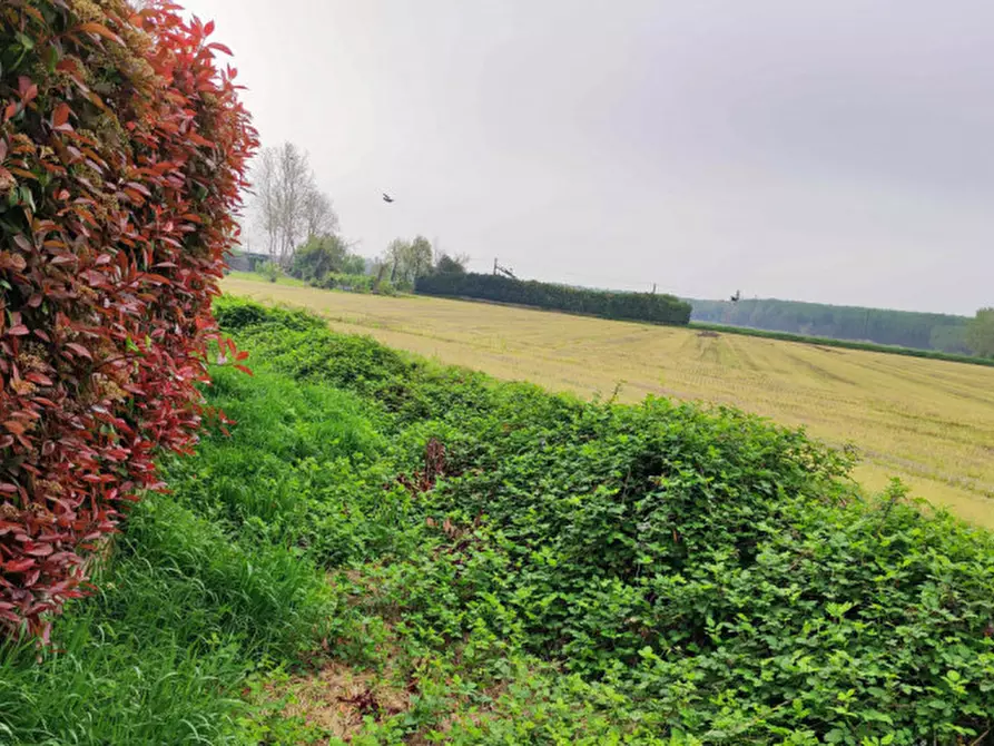 Immagine 18 di Capannone industriale in vendita  in Via Vellezzo Bellini snc - 27010 Vellezzo Bellini (PV) a Vellezzo Bellini