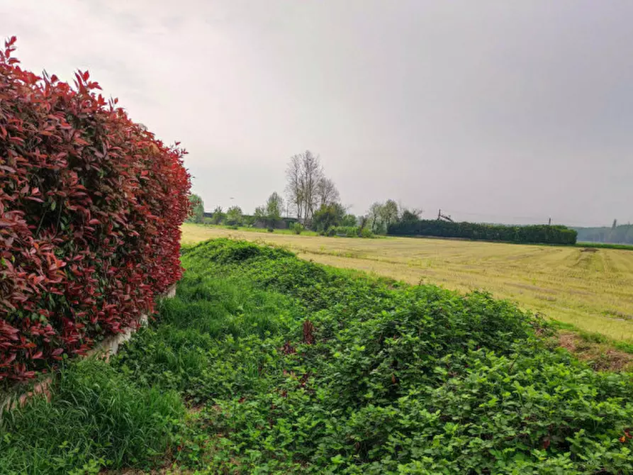 Immagine 19 di Capannone industriale in vendita  in Via Vellezzo Bellini snc - 27010 Vellezzo Bellini (PV) a Vellezzo Bellini