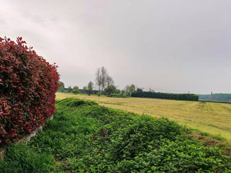 Immagine 20 di Capannone industriale in vendita  in Via Vellezzo Bellini snc - 27010 Vellezzo Bellini (PV) a Vellezzo Bellini