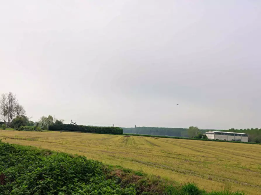 Immagine 21 di Capannone industriale in vendita  in Via Vellezzo Bellini snc - 27010 Vellezzo Bellini (PV) a Vellezzo Bellini