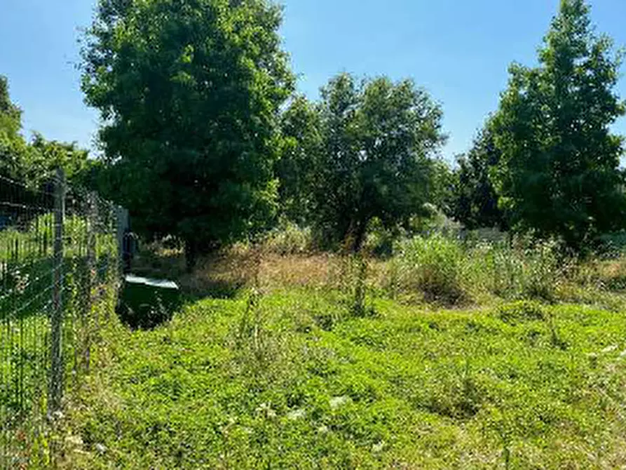 Immagine 3 di Terreno in vendita  in Via Muson a Santa Maria Di Sala