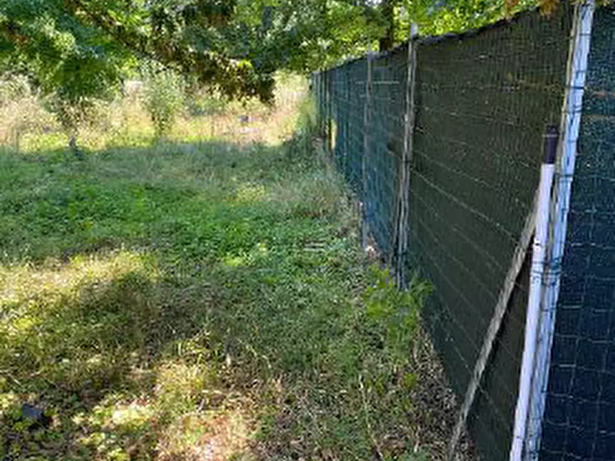 Immagine 4 di Terreno in vendita  in Via Muson a Santa Maria Di Sala