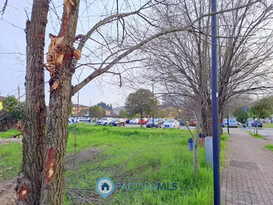 Immagine 5 di Terreno in vendita  in Via degli Scavi a Montegrotto Terme