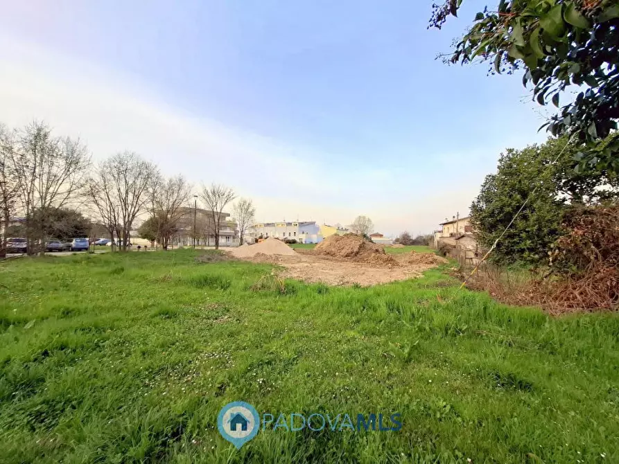 Immagine 7 di Terreno in vendita  in Via degli Scavi a Montegrotto Terme