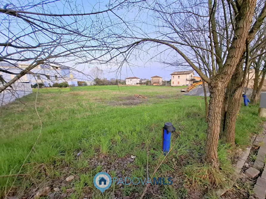 Immagine 9 di Terreno in vendita  in Via degli Scavi a Montegrotto Terme