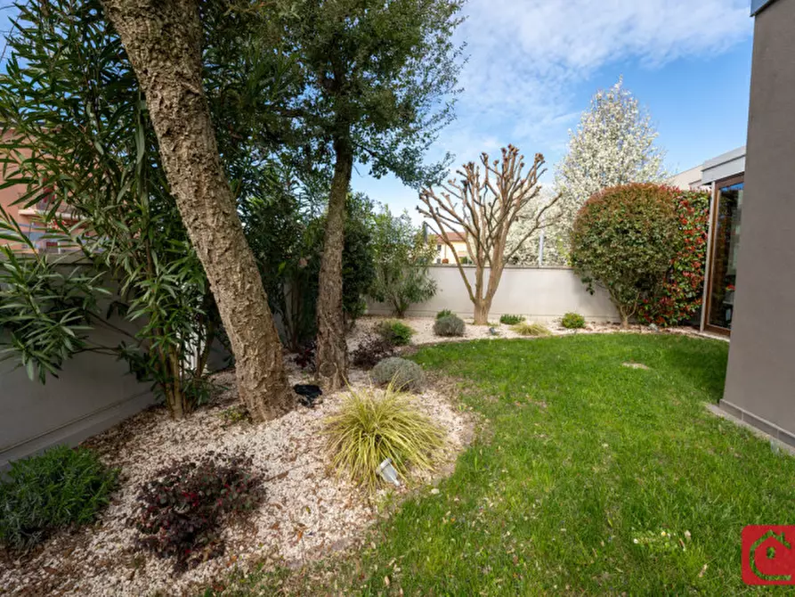 Immagine 3 di Villa in vendita  a Piove Di Sacco