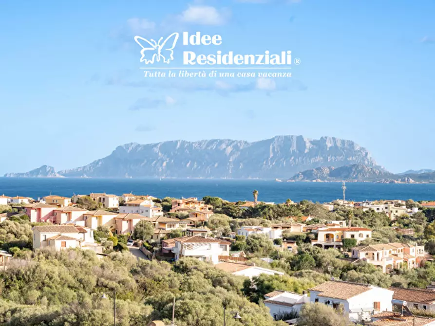 Immagine 3 di Appartamento in vendita  a Olbia