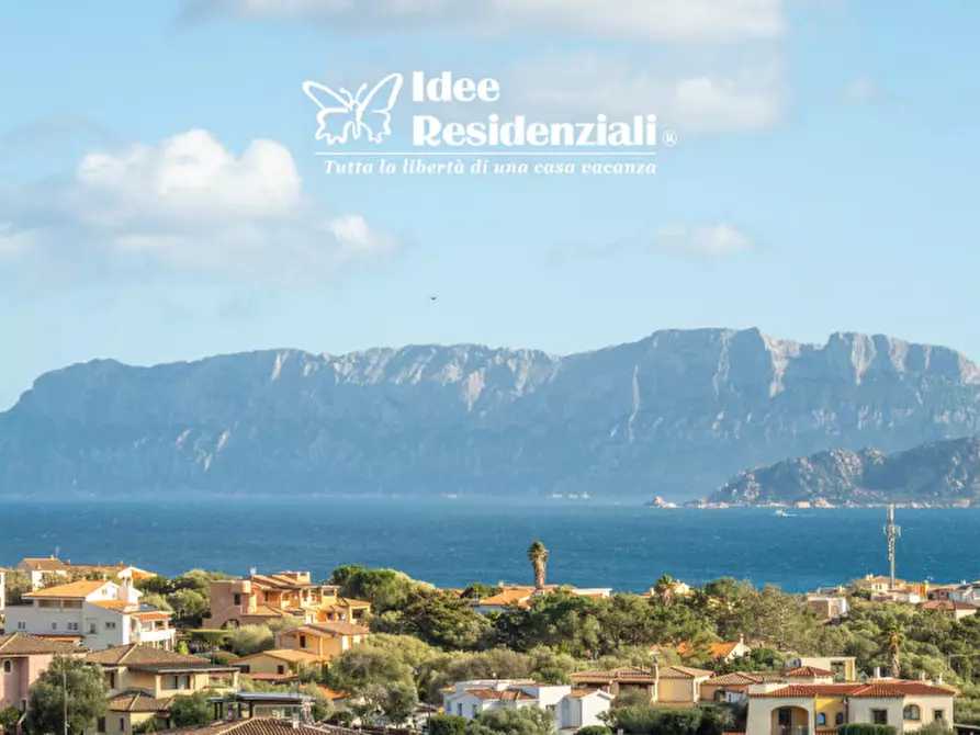 Immagine 4 di Appartamento in vendita  a Olbia