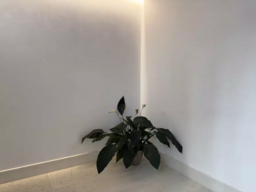 Immagine 8 di Appartamento in vendita  in via verci a Bassano Del Grappa
