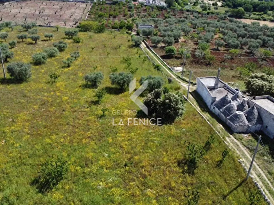 Immagine 3 di Rustico / casale in vendita  in contrada capo di gallo a Martina Franca